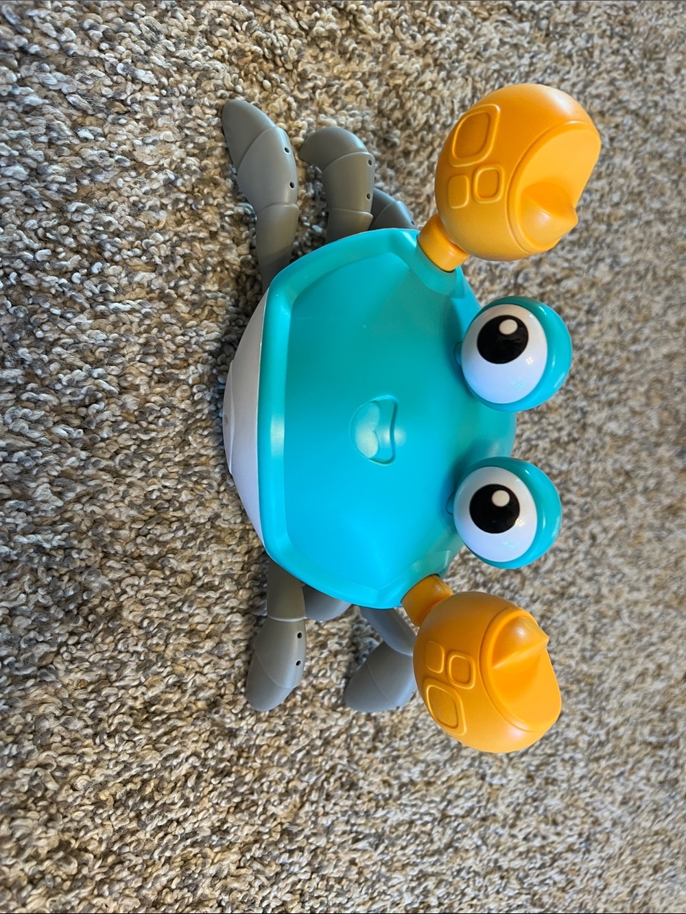 Bright Teal & Yellow walking Crab  Toy for Kids or dog